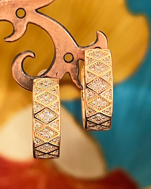 Enchanting hoop earrings